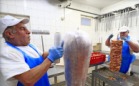 Gyros nyárs felépítése kézzel